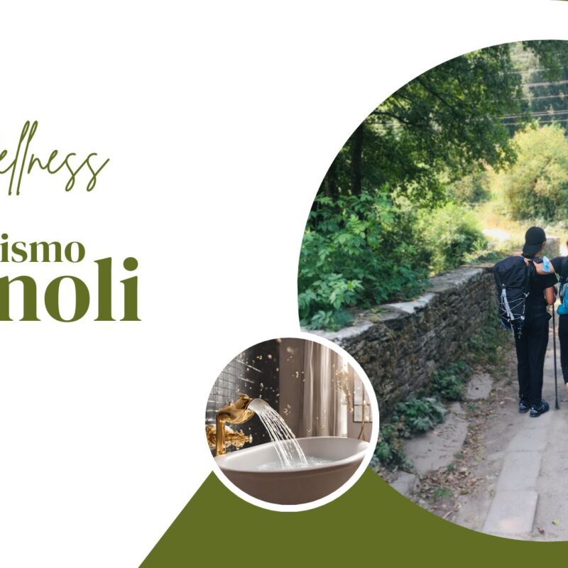 turismo de bienestar mundo panoli
