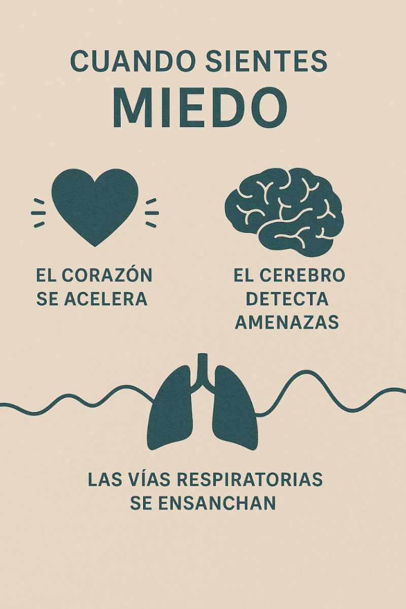 METAdamas. El miedo: cómo entenderlo, respirarlo y transformarlo 2 hiperexigencia 1